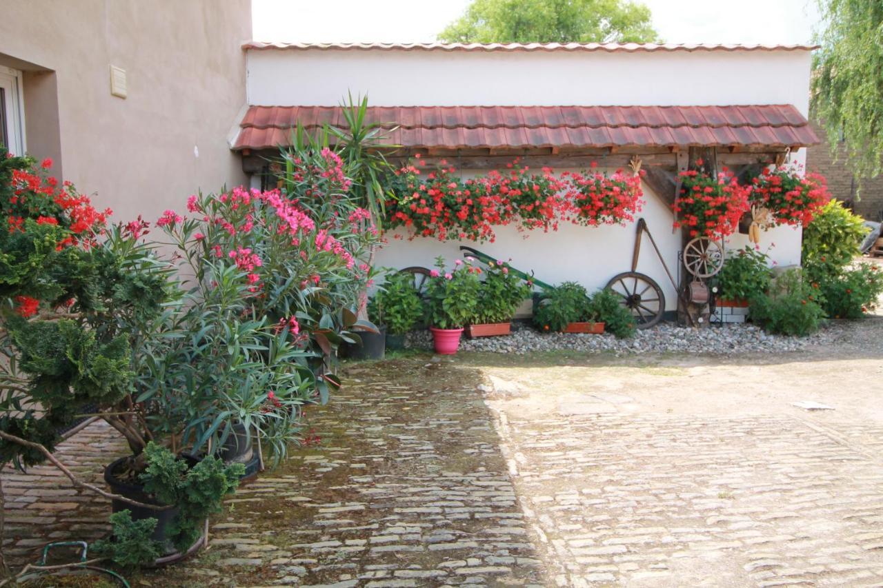 Ittenheim La Chambre Aux Hirondelles מראה חיצוני תמונה